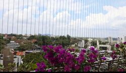 The Orange Grove (D10), Condominium #532084271